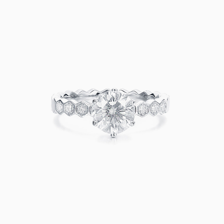 Round Brilliant cut Engagment ring on a drop set diamond band